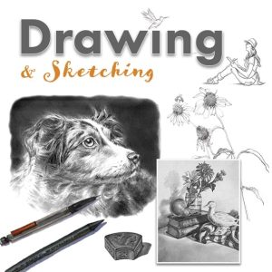Drawing & Sketching